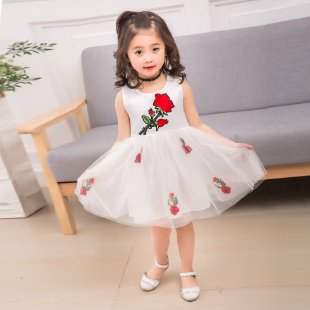 Charming Child Star&Rose Gauze Skirt