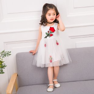 Charming Child Star&Rose Gauze Skirt