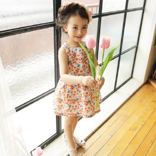 Fruit Xili&Floral Dress